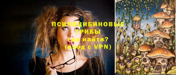 spice Мурманск