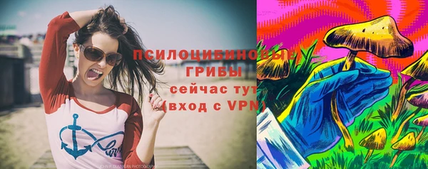 хмурый Рославль