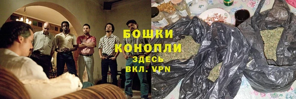 шишки Дедовск