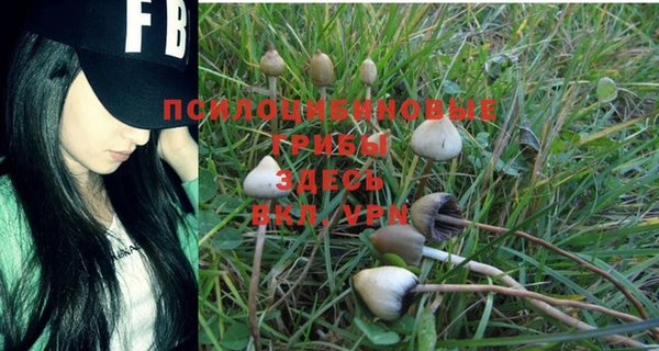 кокаин перу Россошь