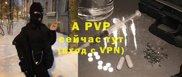 хмурый Рославль