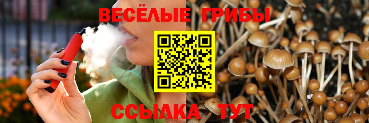 Псилоцибиновые грибы Magic Shrooms  Вход с VPN  Псилоцибиновые грибы прущие грибы  Белогорск 